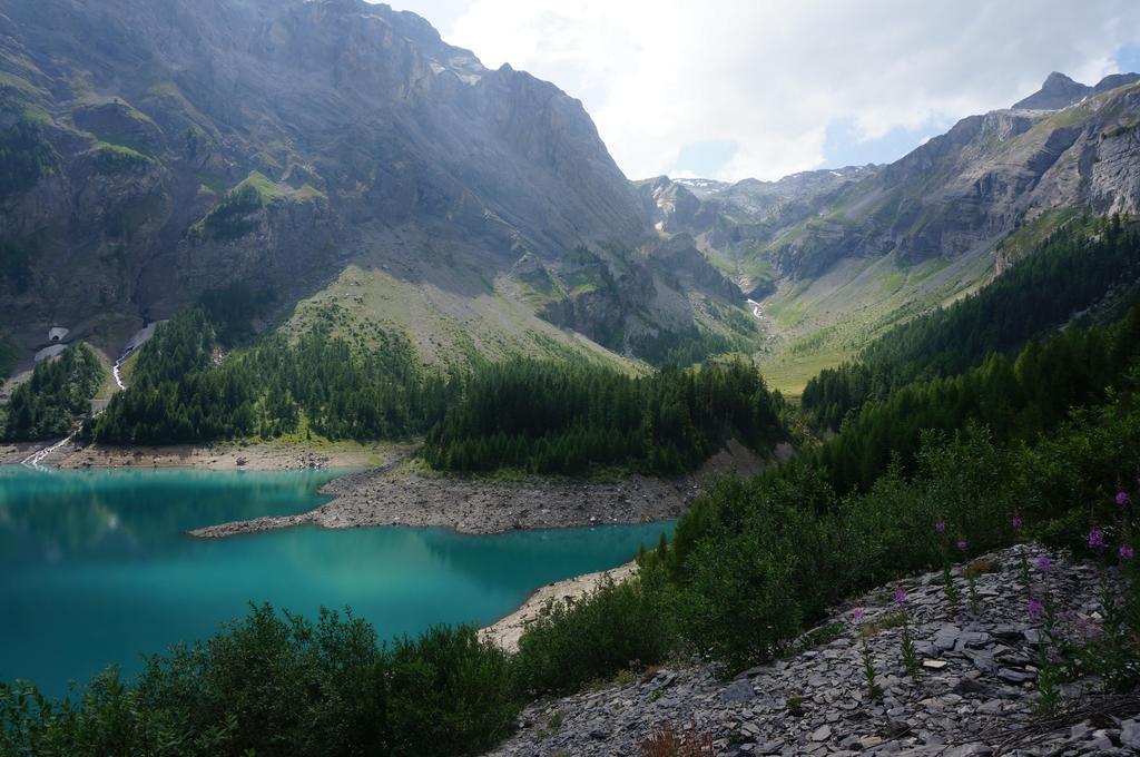 Bnb Valais - By La Sittelle Grimisuat Bagian luar foto